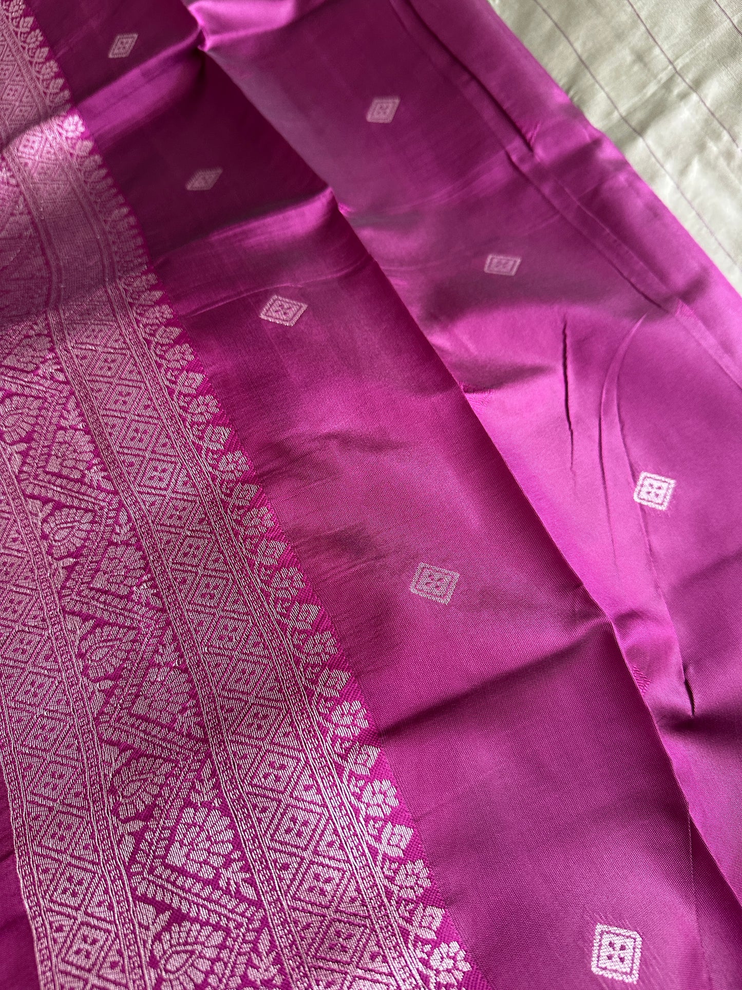 Pastel Green Peacock Tissue Silk Saree