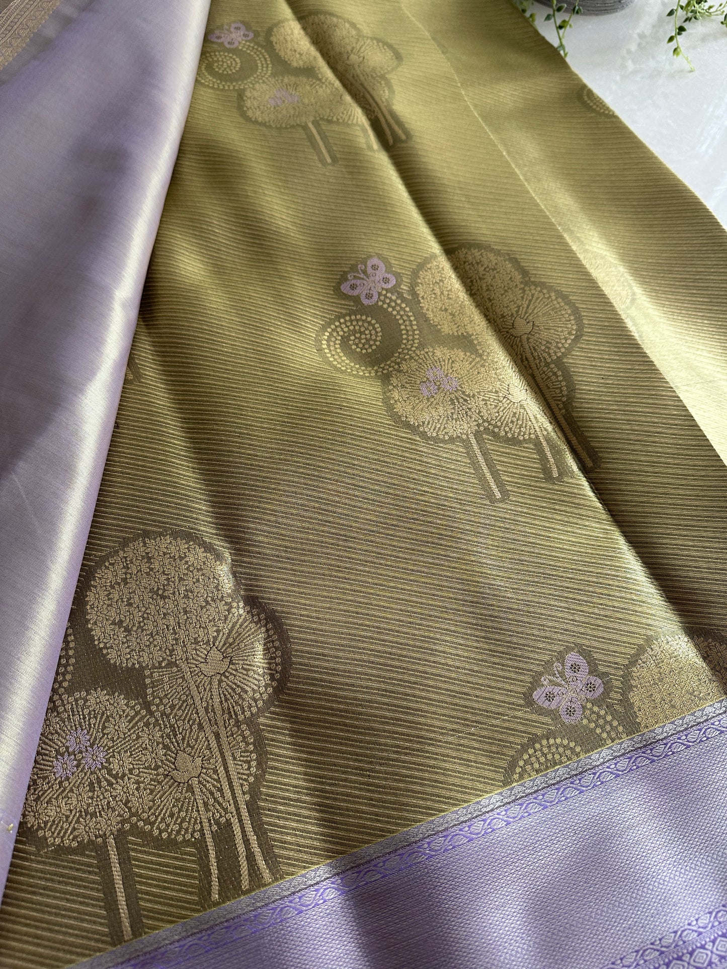Olive Dandelion Kanchi Tissue Saree