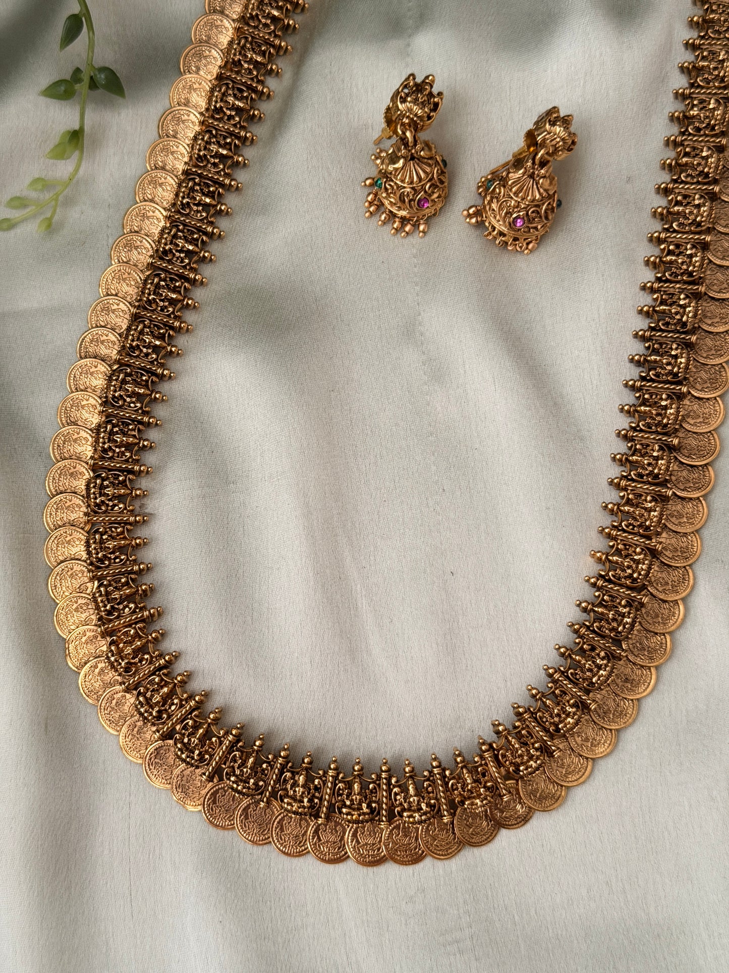 Vriksha Kaashu Mid Haaram