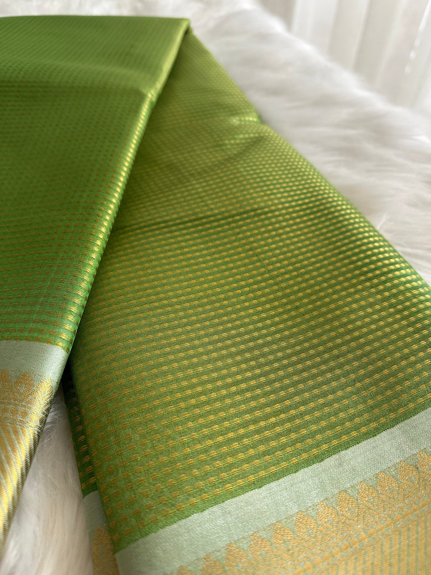 Dual Tone Tissue Organza Saree