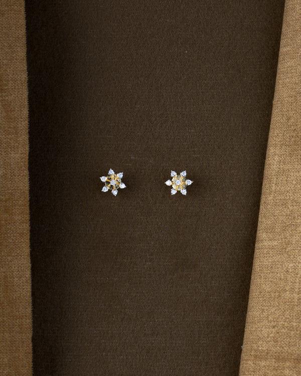 Taara Shimmer Tops