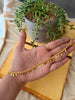 Single Line Elakkathali choker(one gm gold plated)