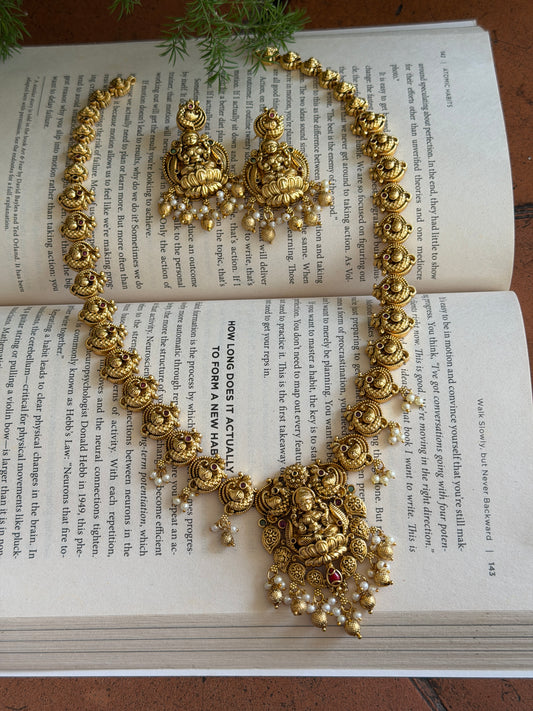 Premium Nakshi Haaram Set