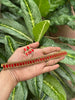 Onam sale choker v4.0