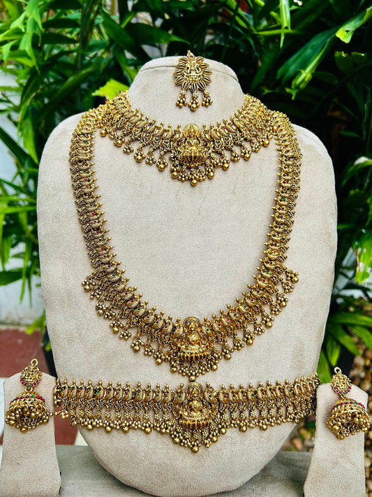 Driksha Bridal Combo v2.0