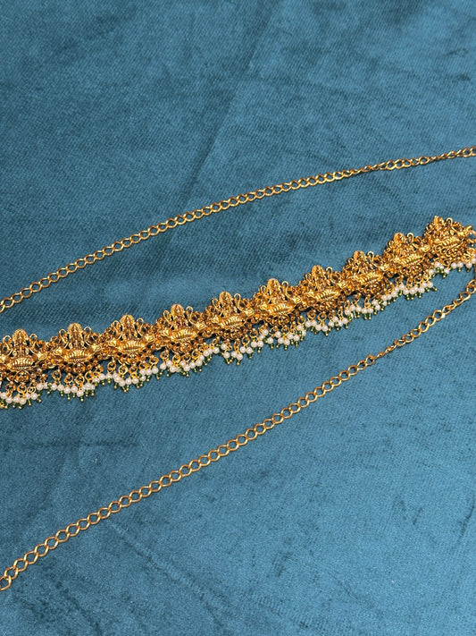 Cluster Devi Hipchain