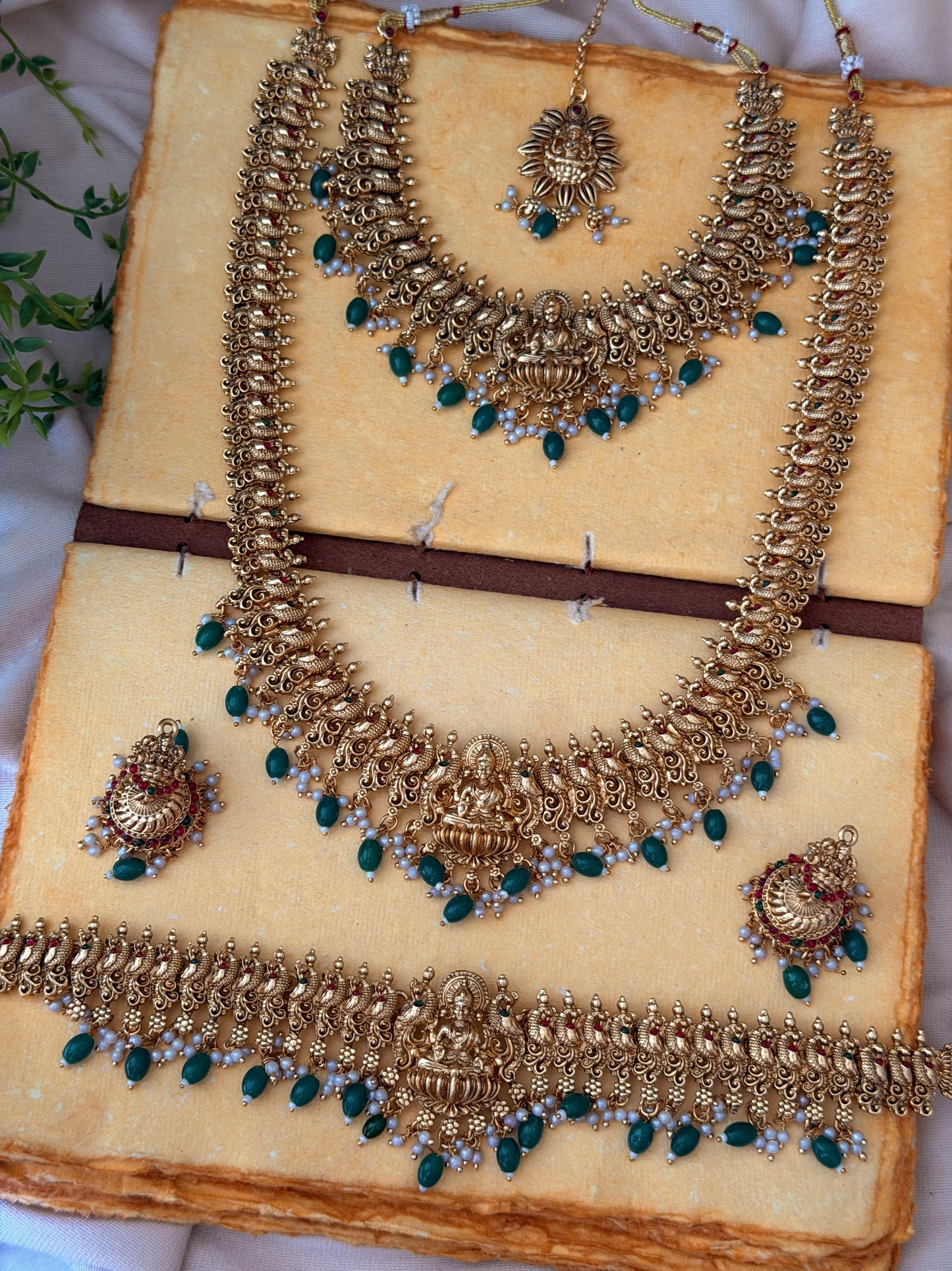 Driksha Bridal Combo v2.0