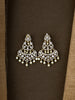 Rivaah Pearl Zircon Chandeliers